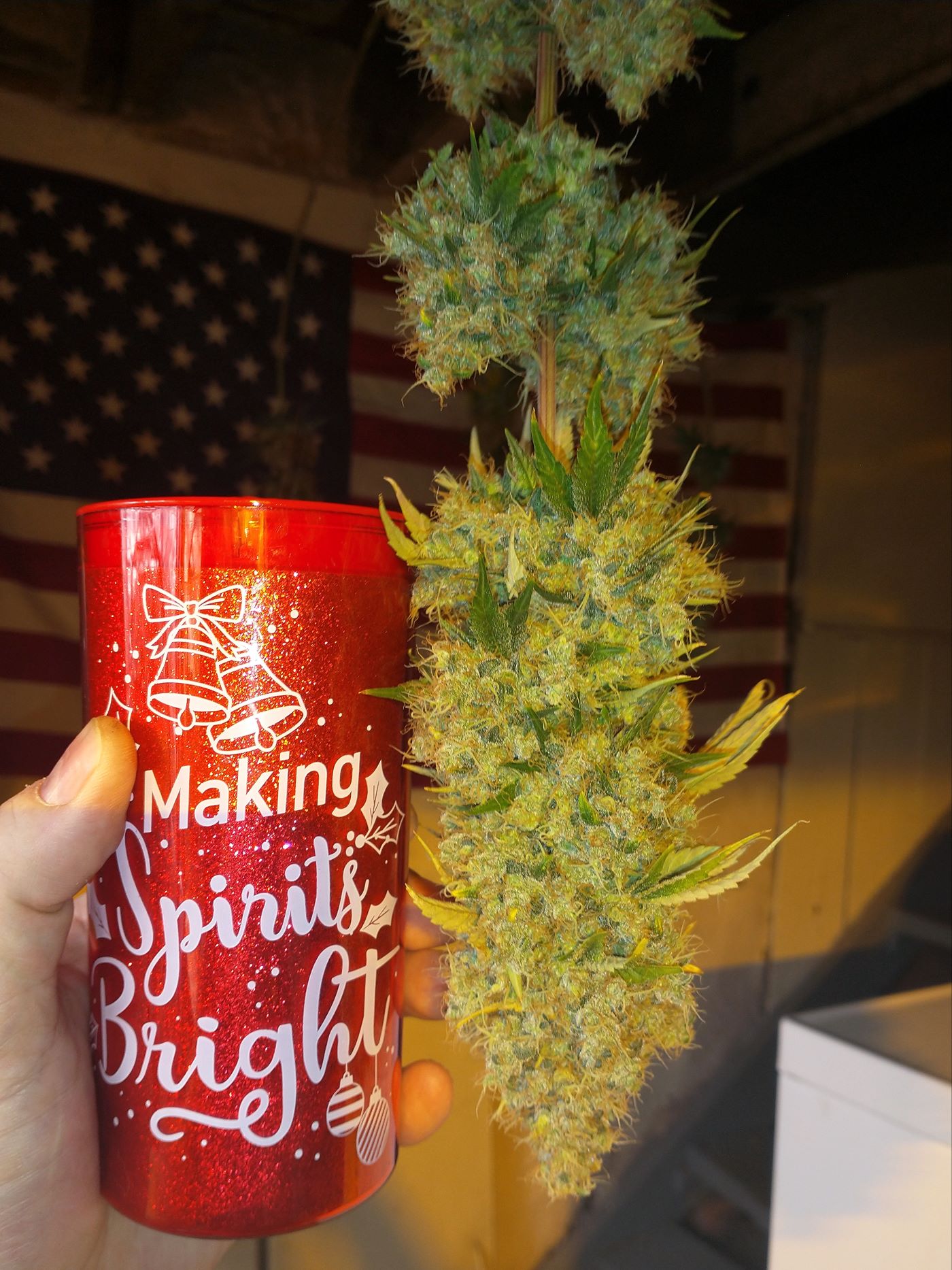 FieldofDreamsV1Edit5