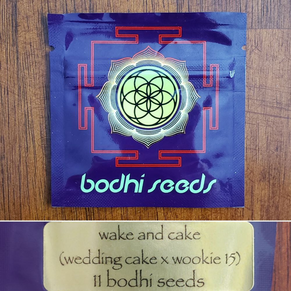 BodhiWakeandCake