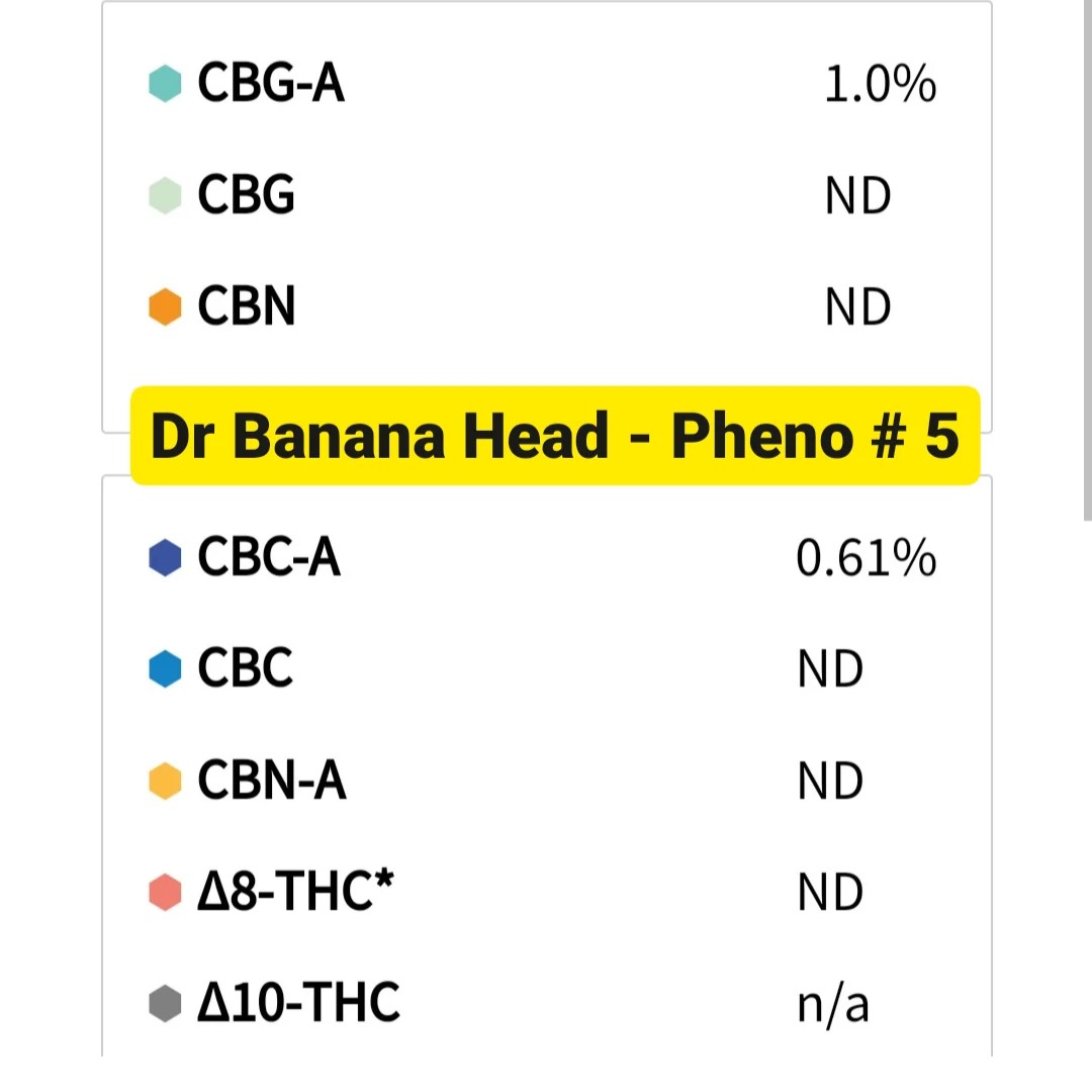 IMG_20231006_171649_225