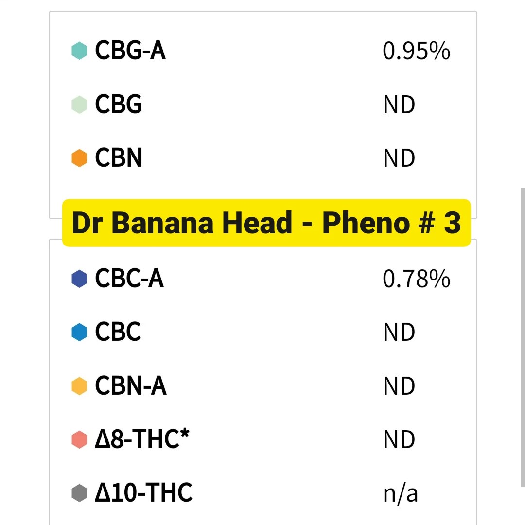 IMG_20231006_171922_918