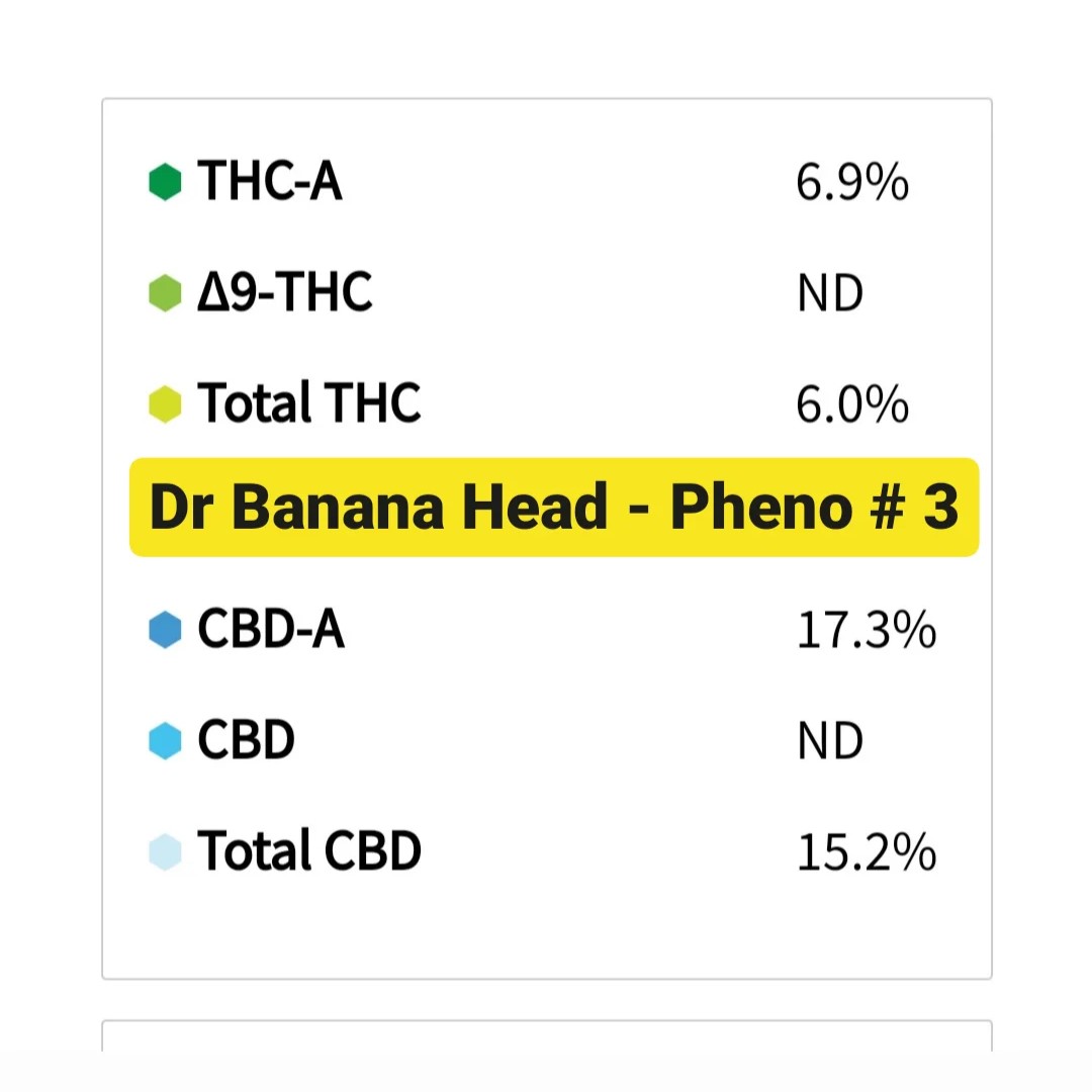 IMG_20231006_171956_754
