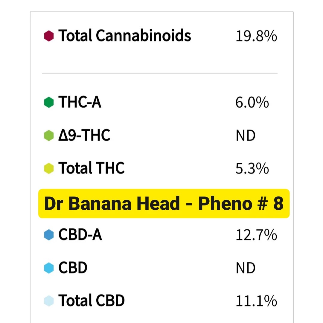 IMG_20231006_172246_735