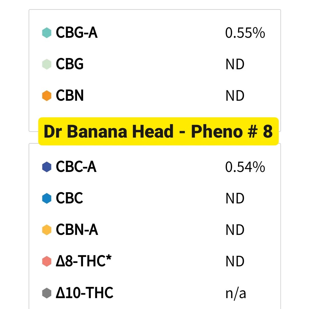 IMG_20231006_172314_287