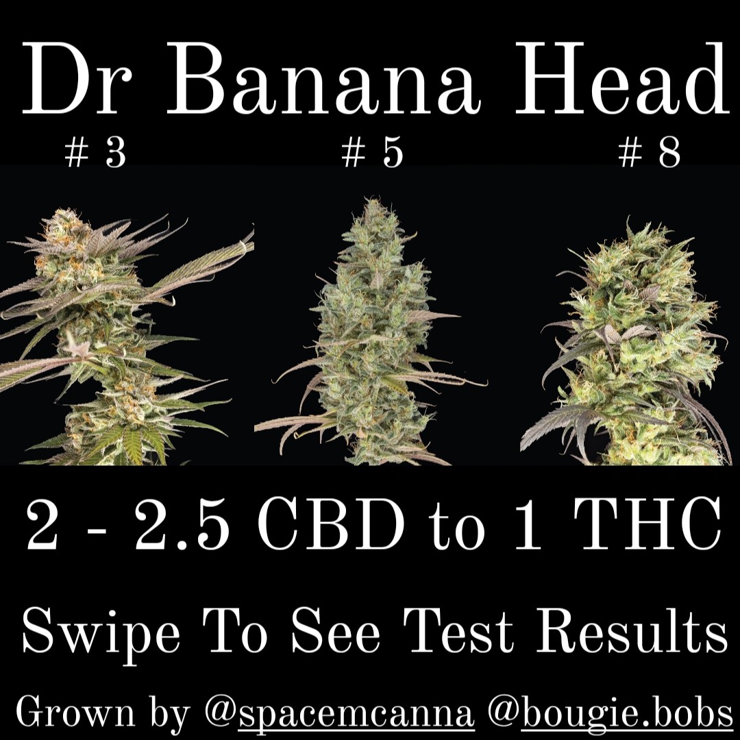 IMG_20231011_090654_765